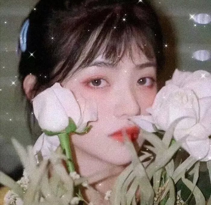 傻子阿达